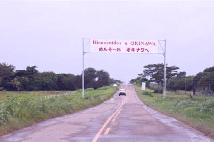 Nova, 39 — Escort in Okinawa Numero Uno, Bolivia