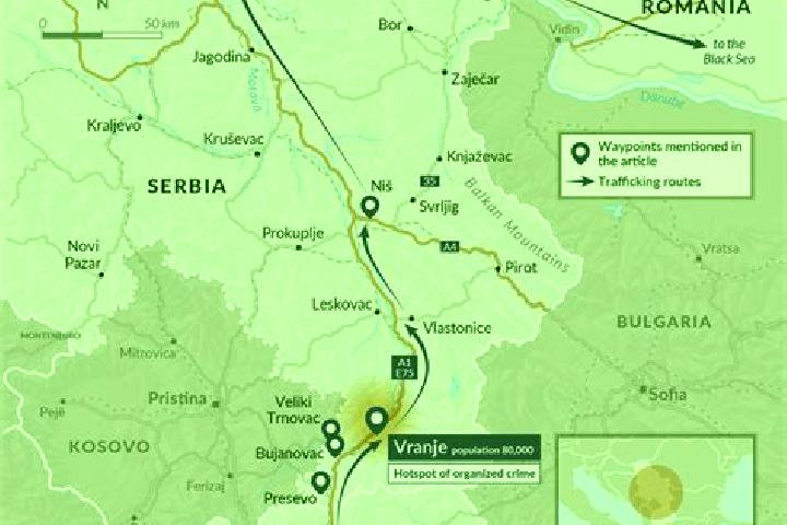 Nova, 39 — Escort in Vranje, Serbia