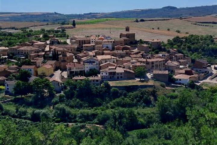 Olivia, 20 — Escort in Gallegos del Rio, Spain