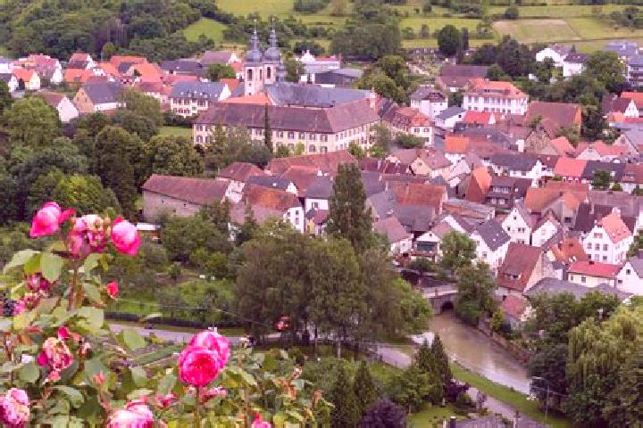 Olivia, 20 — Escort in Lauda-Konigshofen, Germany