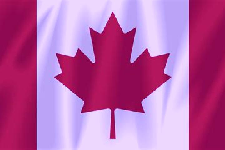 Olivia, 20 — Escort in Maple Leaf, Canada