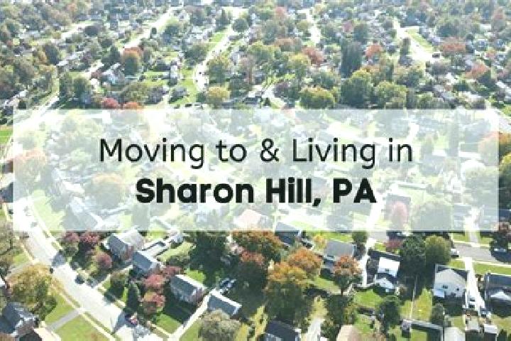 Olivia, 20 — Escort in Sharon Hill, United States