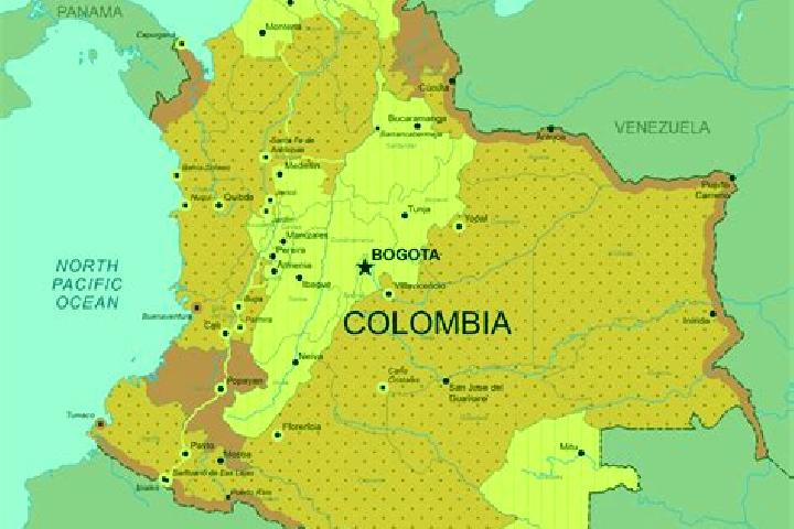 Olivia, 20 — Escort in Yali, Colombia