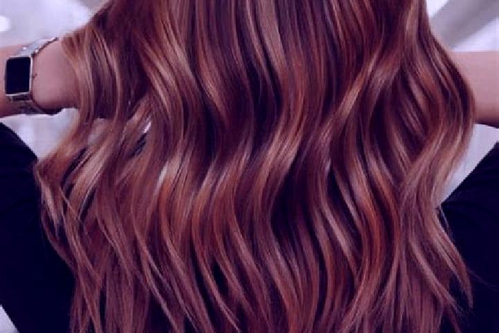 Olivia, 21, a auburn brown-eyed mixed companion based in La Argentina. Offering Erotic Massage, Massage, Party Girl, Couples, Duos. Available for incall and ...