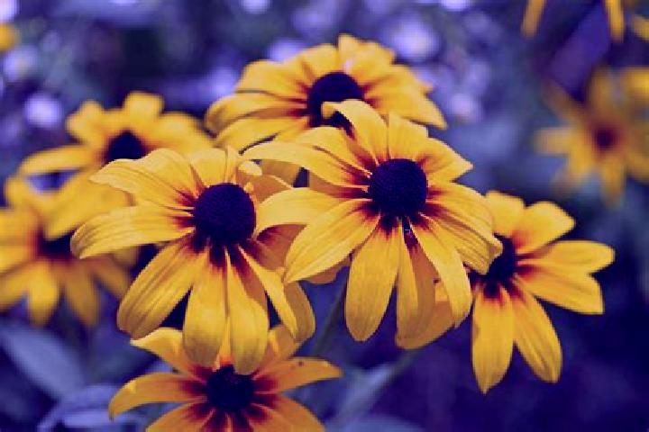 Olivia, 21, a black grey-eyed latina companion based in Santa Teresa. Offering Party Girl, Massage, Prostate Massage, Deep French Kissing. Available for inca...