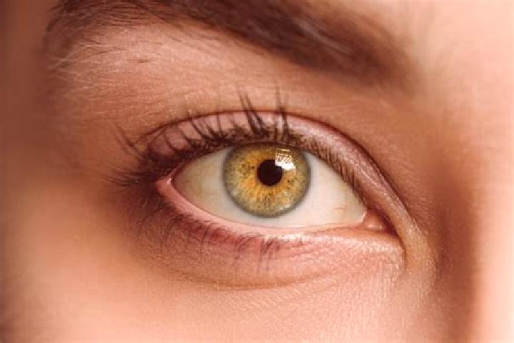 Olivia, 21, a chestnut hazel-eyed mixed companion based in Colniza. Offering Prostate Massage, Striptease, Domination, 69. Available for incall and outcall, ...