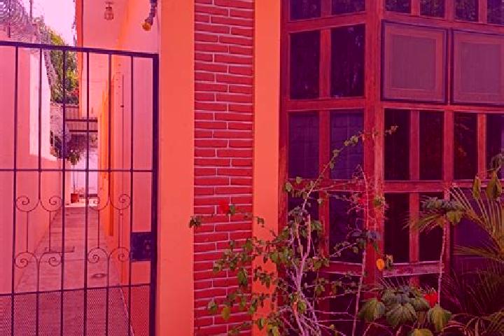 Olivia, 21 — Escort in San Pedro Mixtepec Distrito Veintiseis, Mexico