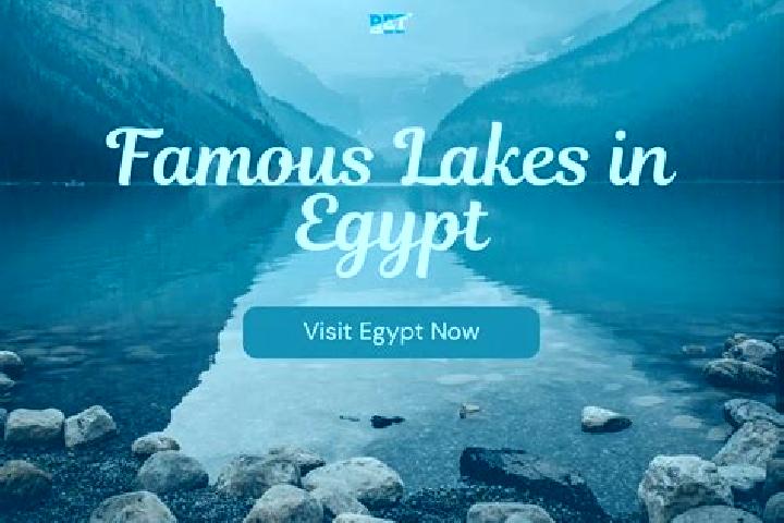 Olivia, 22 — Escort in Al Jammaliyah, Egypt