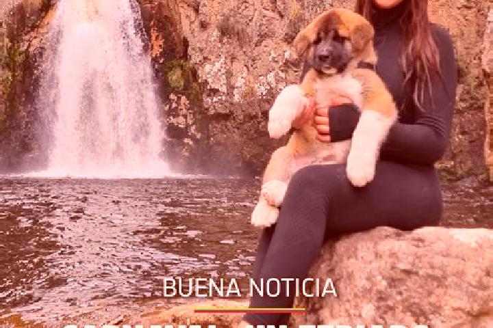 Olivia, 22 — Escort in Joseguango Bajo, Ecuador