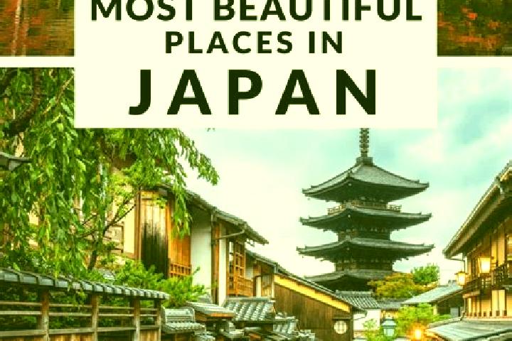 Olivia, 22 — Escort in Kikuchi, Japan