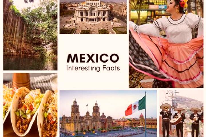 Olivia, 23 — Escort in La Tijera, Mexico