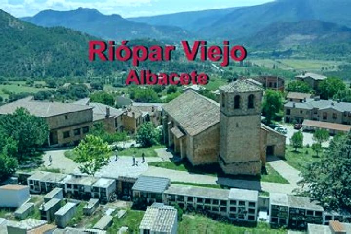 Olivia, 23 — Escort in Riopar, Spain