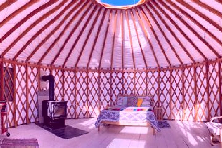 Olivia, 23 — Escort in Shaami-Yurt, Russia