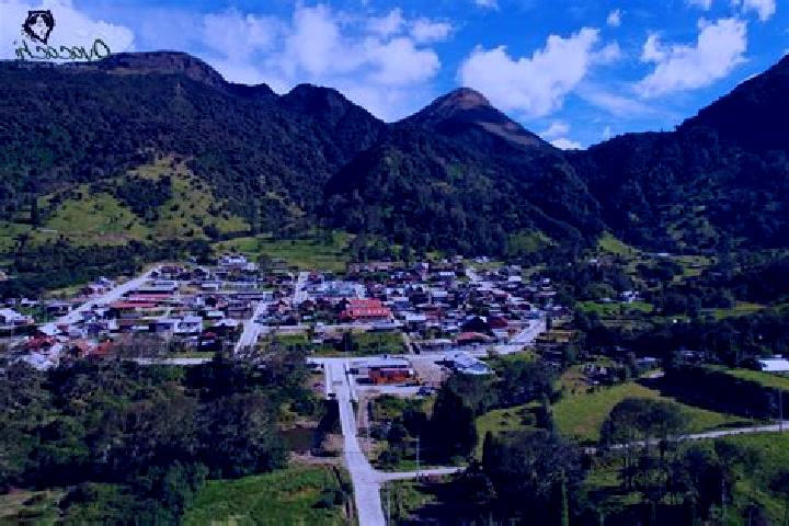 Olivia, 23 — Escort in Tumbabiro, Ecuador