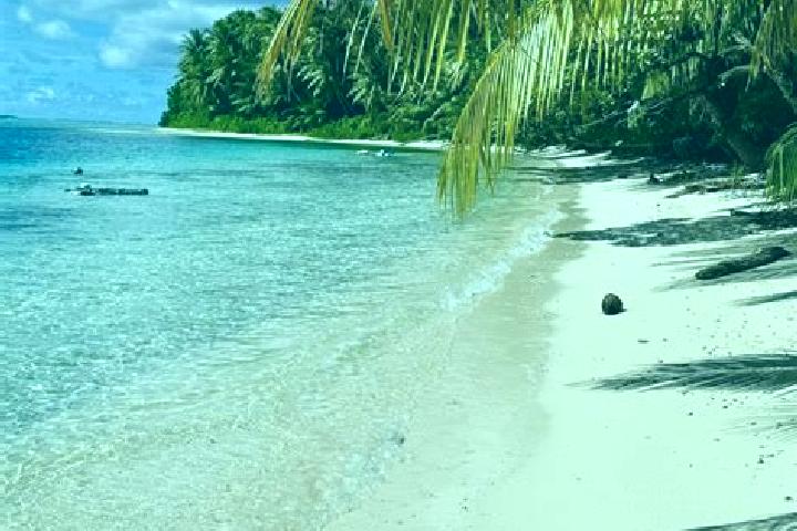 Olivia, 24 — Escort in Elato, Micronesia