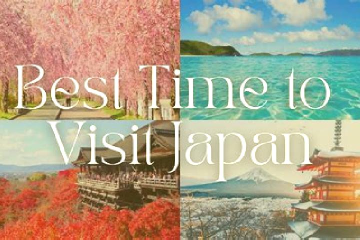 Olivia, 24 — Escort in Hara, Japan