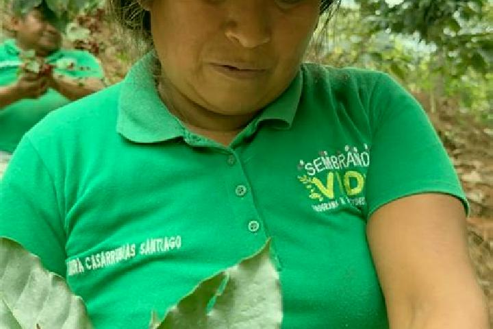Olivia, 24 — Escort in Rio Iguapa, Mexico