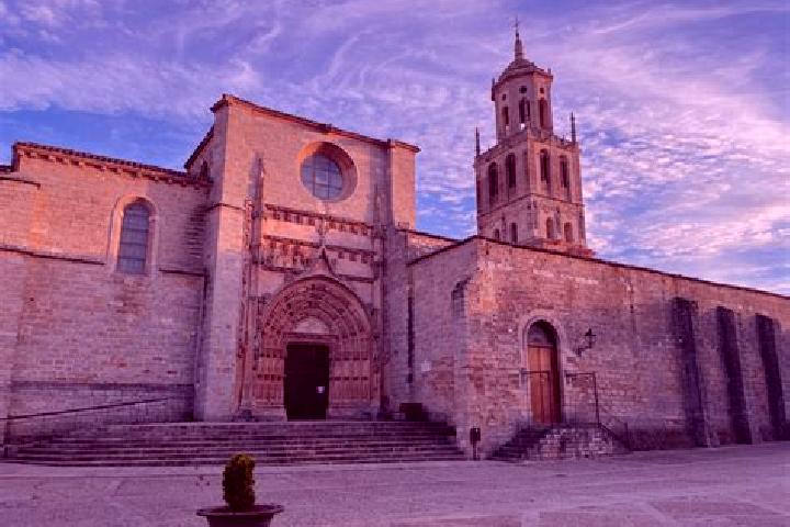 Olivia, 24 — Escort in Santa Maria del Campo, Spain