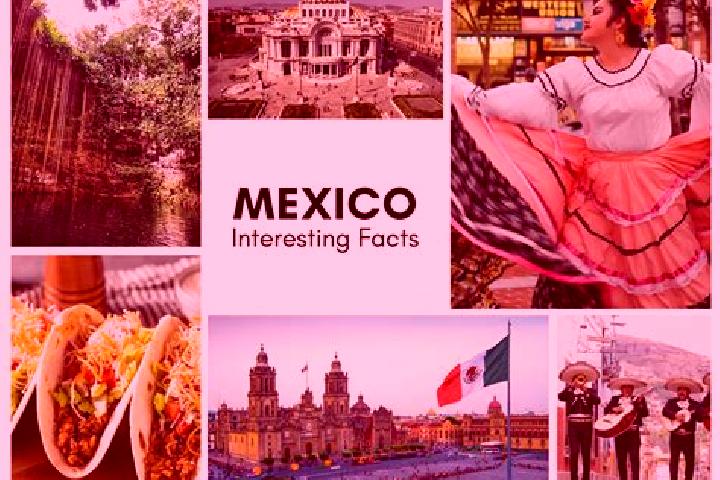 Olivia, 24 — Escort in Silvituc, Mexico