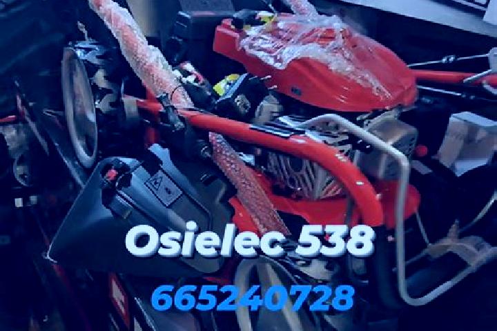 Olivia, 25 — Escort in Osielec, Poland