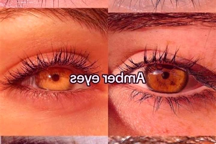 Olivia, 26, a brunette amber-eyed european companion based in Aucara. Offering Overnight, OWO, BDSM. Available for incall and outcall, overnight bookings ava...