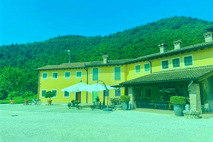 Olivia, 26 — Escort in Cesiomaggiore, Italy
