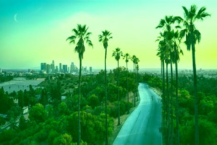 Olivia, 26 — Escort in Colonia los Angeles, Mexico