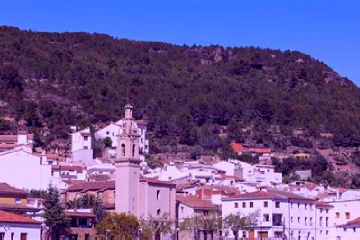 Olivia, 26 — Escort in Fuentes de Ayodar, Spain