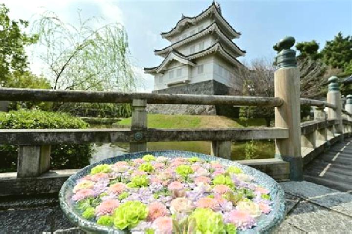 Olivia, 26 — Escort in Gyoda, Japan