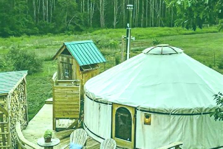 Olivia, 26 — Escort in Ishkhoy-Yurt, Russia