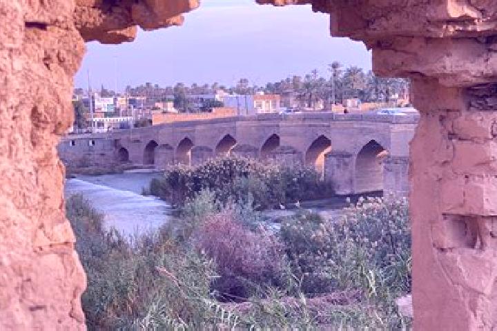 Olivia, 26 — Escort in Khanaqin, Iraq