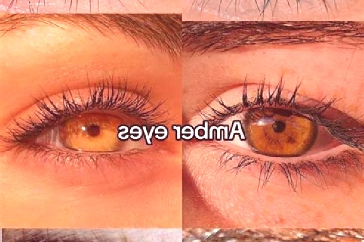Olivia, 28, a chestnut amber-eyed middle eastern companion based in Calcena. Offering GFE, Duos, Massage. Available for incall and outcall, day and evening d...