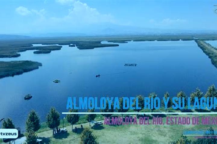 Olivia, 28 — Escort in Almoloya de las Granadas, Mexico