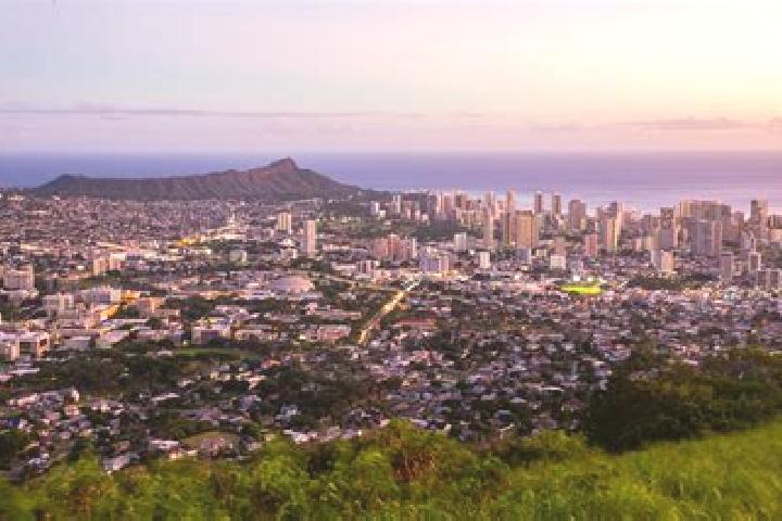 Olivia, 29 — Escort in Makiki / Lower Punchbowl / Tantalus, United States