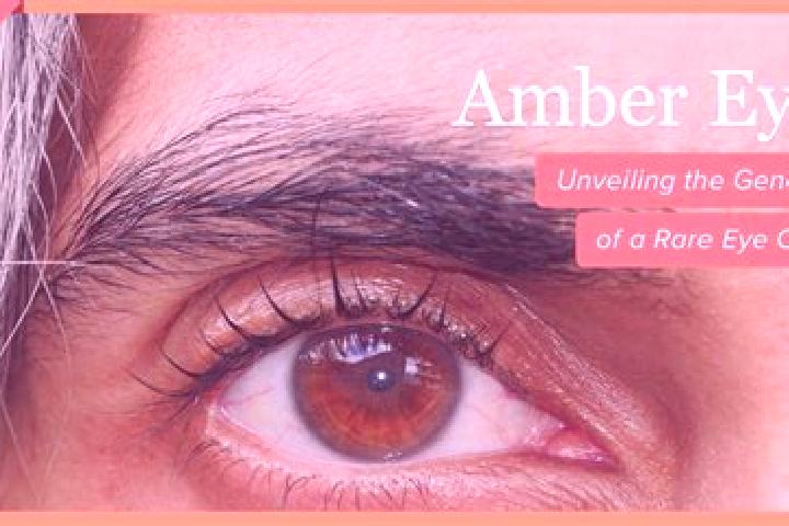 Olivia, 30, a red amber-eyed indian companion based in Erdao. Offering Girlfriend Experience, BDSM. Available for incall and outcall, day and evening dates.