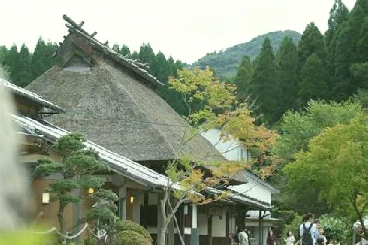 Olivia, 30 — Escort in Koishiwara, Japan