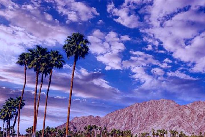 Olivia, 30 — Escort in Palm Springs, United States