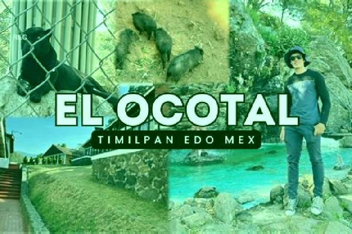 Olivia, 30 — Escort in San Francisco Ocotal, Mexico