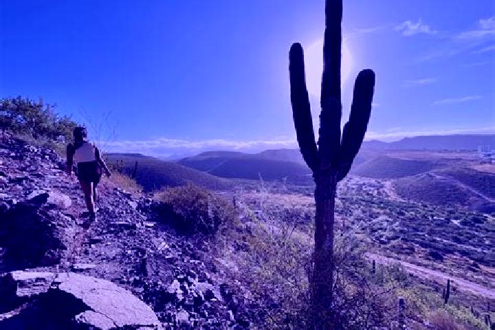 Olivia, 31 — Escort in Cerro de la Esperanza, Mexico