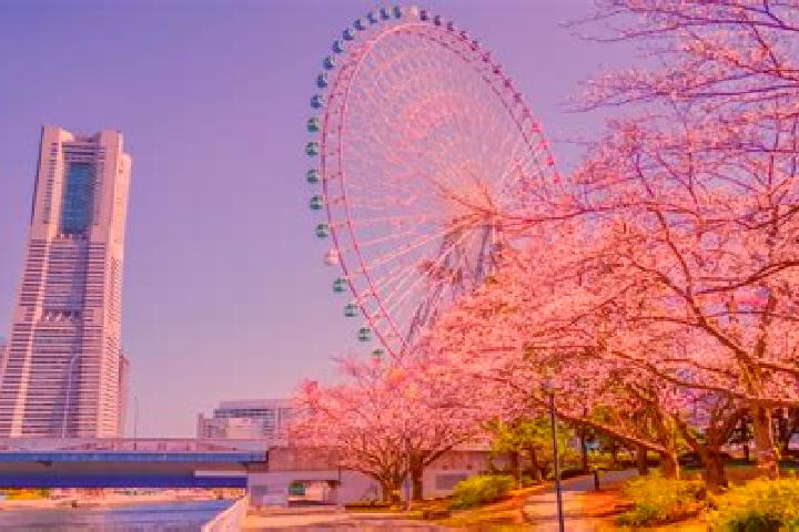 Olivia, 31 — Escort in Minatomirai, Japan