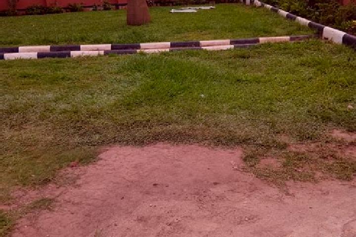 Olivia, 31 — Escort in Nakaseke, Uganda