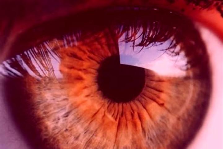 Olivia, 32, a red hazel-eyed middle eastern companion based in Buelach / Chroepfli. Offering Dinner Date, GFE, A-Level, OWO, BDSM. Available for incall and o...
