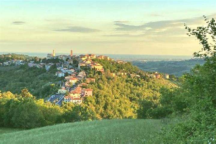 Olivia, 32 — Escort in Sogliano al Rubicone, Italy
