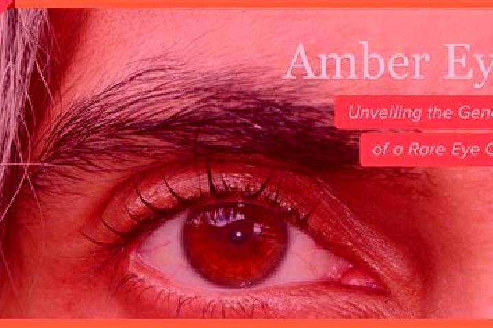 Olivia, 33, a red amber-eyed middle eastern companion based in Laragne-Monteglin. Offering Overnight, Travel Companion, Deep French Kissing, CIM, Striptease....