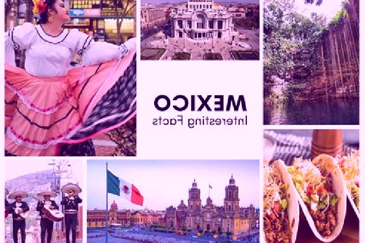 Olivia, 33 — Escort in Paso Blanco, Mexico