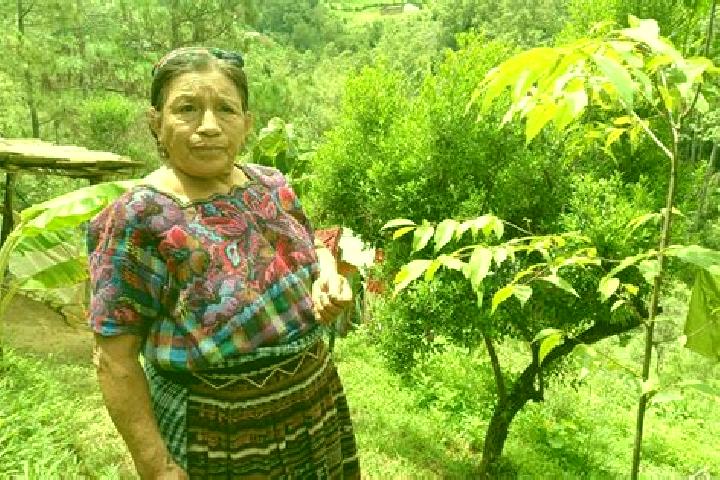 Olivia, 33 — Escort in Santa Maria Chiquimula, Guatemala