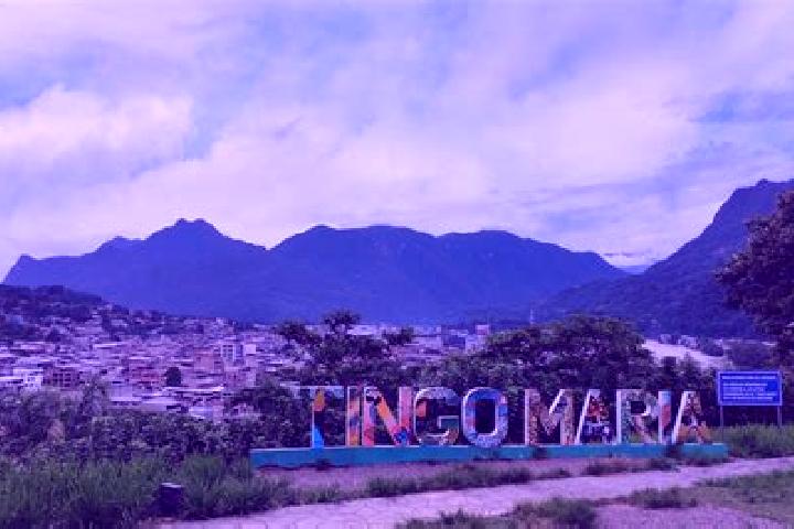 Olivia, 33 — Escort in Tingo de Ponasa, Peru