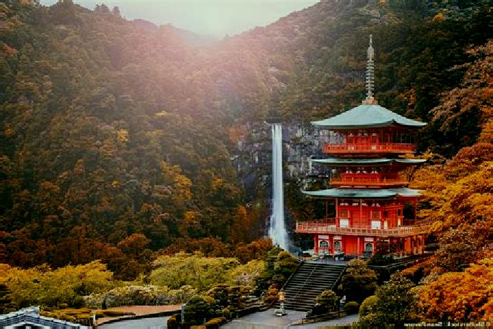 Olivia, 33 — Escort in Wakayama, Japan
