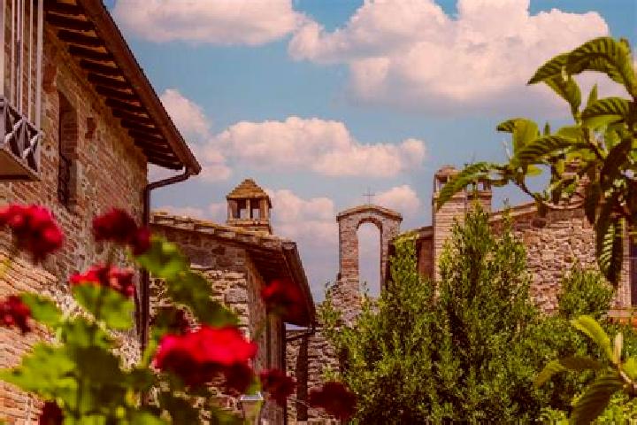 Olivia, 34 — Escort in Castello di Cisterna, Italy
