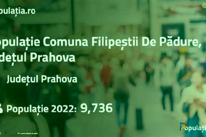 Olivia, 34 — Escort in Filipestii de Padure, Romania